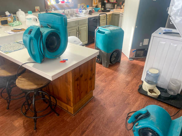 Best Water damage restoration process  in Bidwell, OH