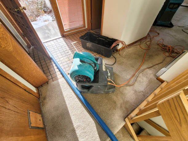 Best Professional water damage repair  in Bidwell, OH