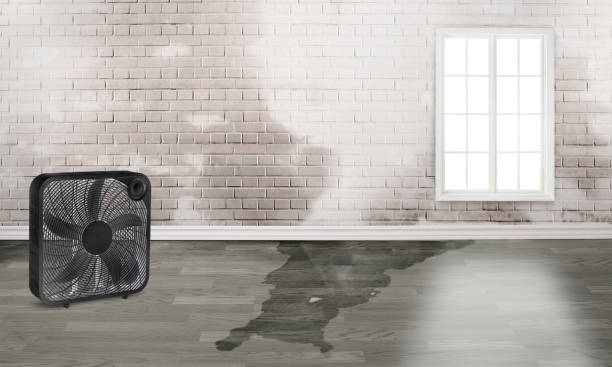 Best Fire Damage Restoration  in Bidwell, OH