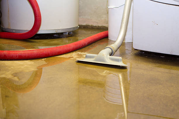 Best Basement water damage restoration  in Bidwell, OH