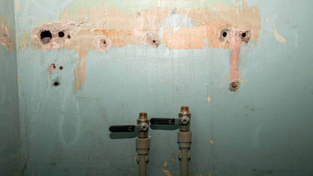 Best Water damage cleanup near me  in Bidwell, OH