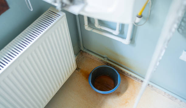 Best Water damage restoration mold remediation  in Bidwell, OH